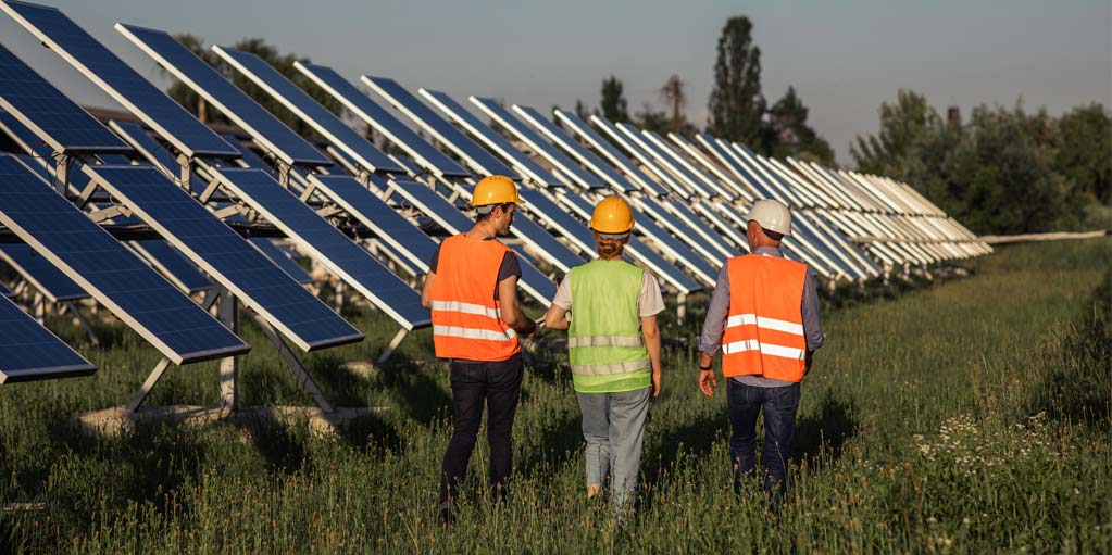 Solar panel engineers walking around field of solar panels